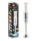 RAF Hand Blender 450W R.3017